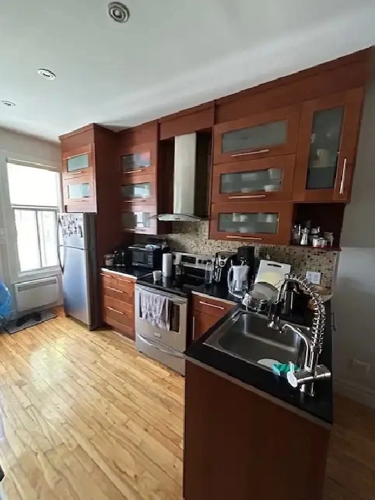 APPARTEMENT - STYLE LOFT - 1er JUILLET OU AVANT - SEMI_MEUBLÉ