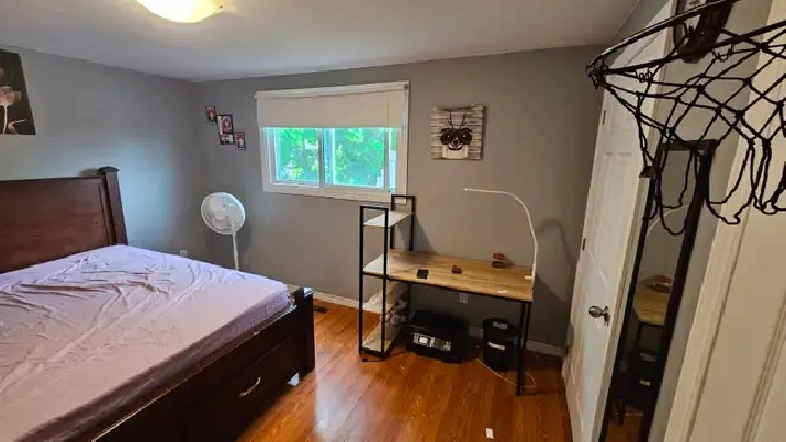 Room available for rent 1st May College Ave W, near University.