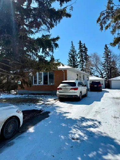 Room for Sublet Available May 1st