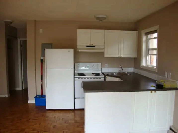 One B/R apartment for rent in Beltline (downtown)