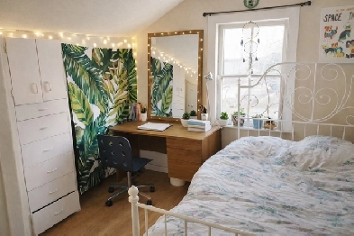 Renovated 4 Bedroom Student Home! 9 Month Lease Starting Aug 1st