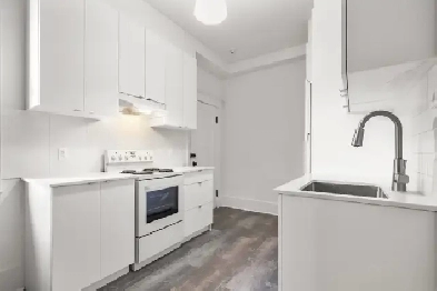 403 SAINT-JOSEPH — Plateau-Mont-Royal ⭐ Heritage   GAS STOVE