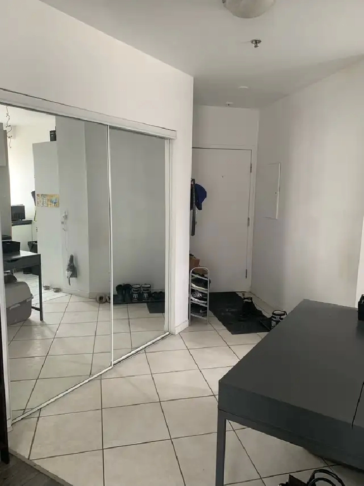 Downtown Montreal Metro Papineau luxury 2 1/2 with appliances