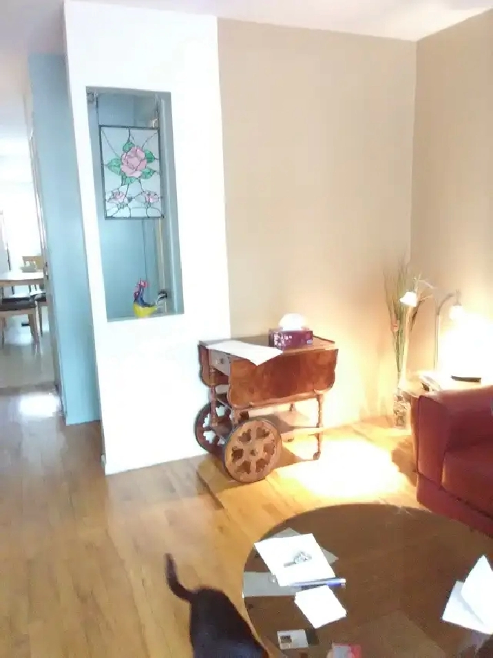 2 Bed room apt for rent, heated and hot water provided