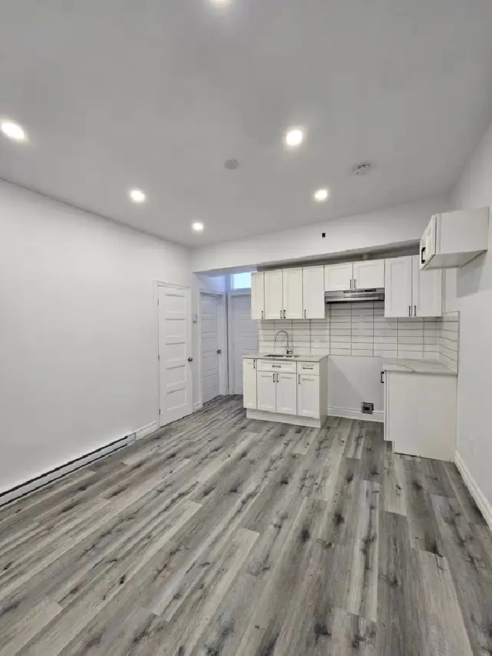 3 1/2 appartement Rénové à louer Plateau-Mont-Royal RENOVATED