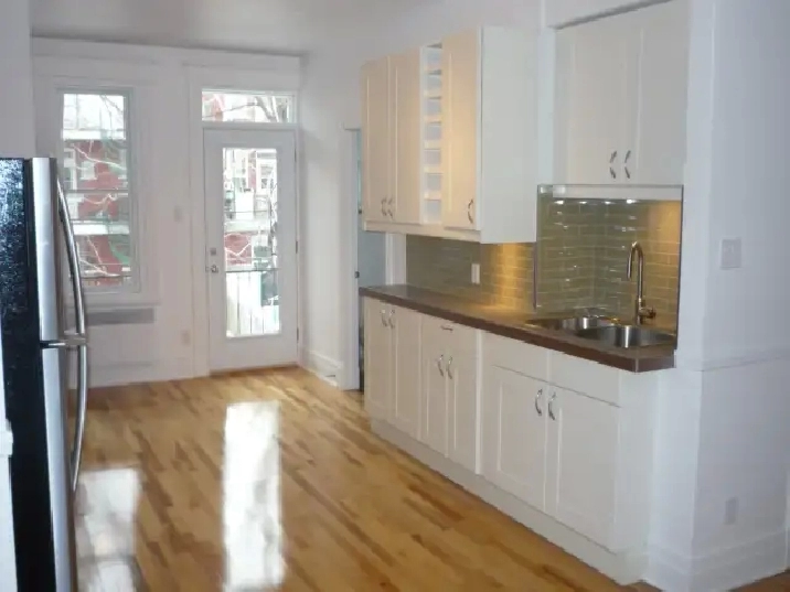 Plateau Mont-Royal, charmant 4 1/2 rénové/renovated