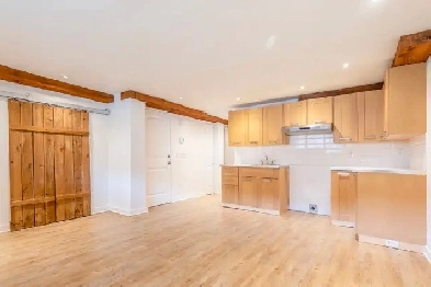 Beau 4 ½, 2 min. à pied du métro Iberville (Rosemont) 1485$/mois