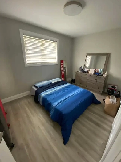 ROOM FOR RENT MAY FIRST - JANE AND SHEPPARD