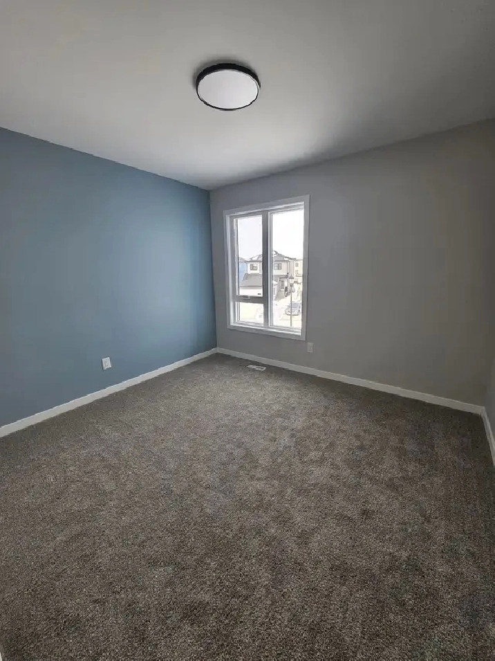 house and rooms for rent