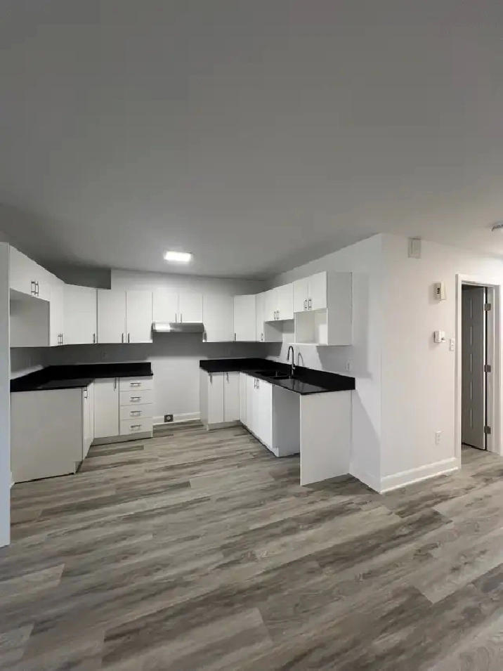 Joli condo 2 chambres RÉNOVÉ - Beautiful 2 bedroom condo