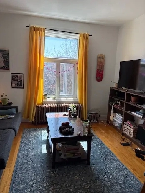 4 1/2 sur plateau Mont-Royal - Juillet