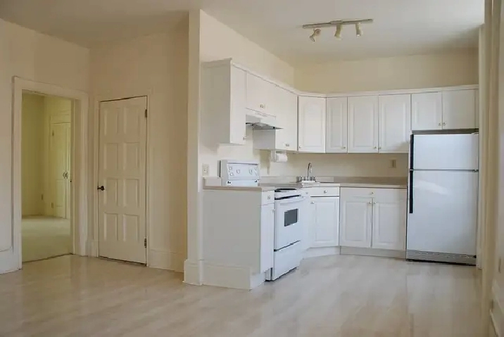 Beautiful downtown apartment