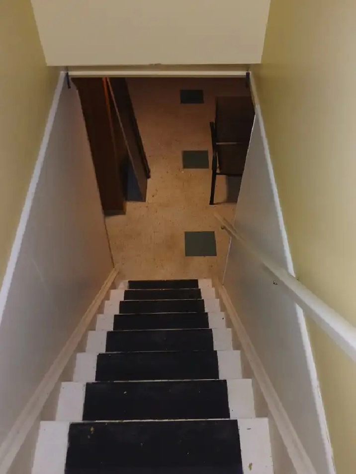 Basement 1 bedroom apartment for rent.