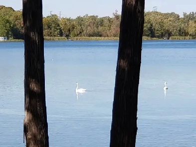 Furnished Room in Waterfront Home