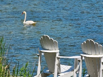 Furnished Room in Waterfront Home with Parking