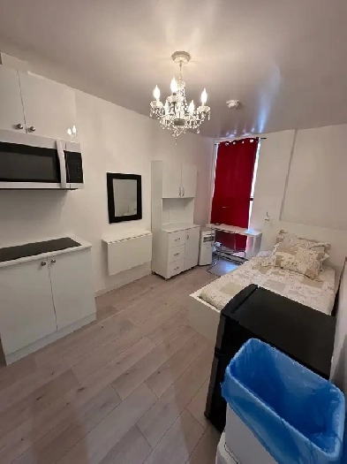 Furnished Studio Downtown - Available Immediately