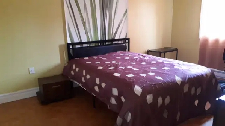 Chambre meublée non-fumeur 7 juin-800$-m.Angrignon/Monk,plaza