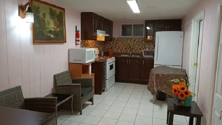 Newly Renovated Luxurious furnished basement available for rent