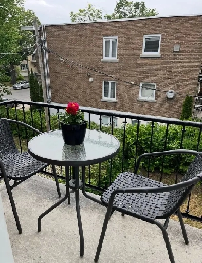 renovated 3 1/2 à louer