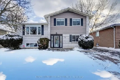 4 Bedroom 2 Bath Full Whole House For Rent