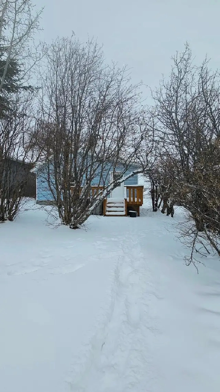 Mayerthorpe 1 bedroom house for rent