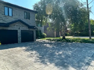 Large Basement Room at the intersection of Markham Rd& Kingston