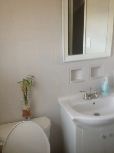 private room shared kitchen and two washroom with working males