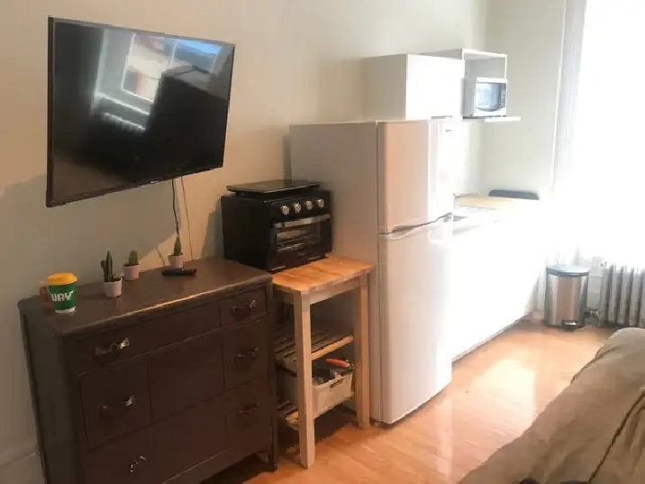 Superbe studio meublé tout inclus WIFI JUILLET