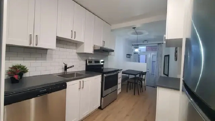 Magnifique 3 1/2 Saint-Bonaventure AVRIL