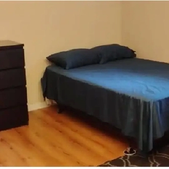 Immed/May-Merivale/Hunt Club-20m/Algonq-see VIDEO's