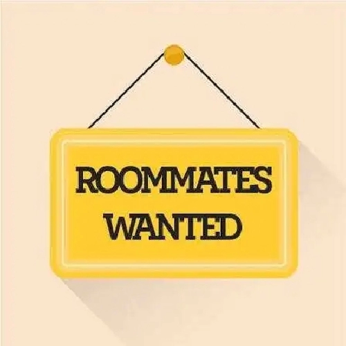 Roomate wanted