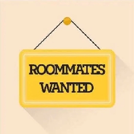 Roomate wanted