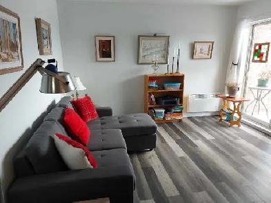 Appartement 4 1/2 à louer