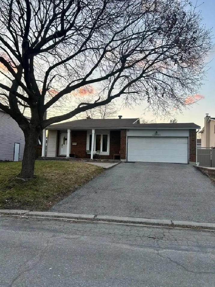 Private room for rent