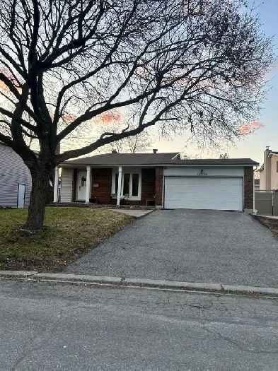 Private room for rent