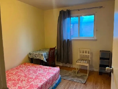 BRIGHT ROOM MAIN FLOOR-50m TO PLAZA STEELES / BATHURST NEAR BUS