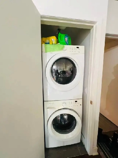 3 1/2  condo for rent in dt Montreal, near Atwater metro station