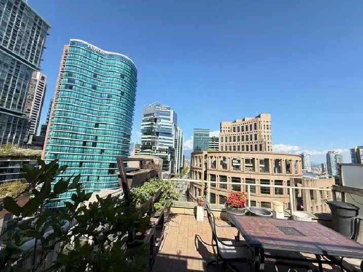 2 bedrooms furnished condo -Downtown