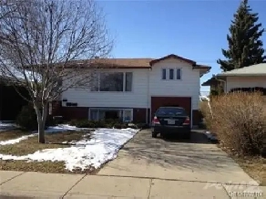 Raised bright one bedroom suite for rent, great location.