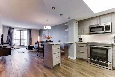 Furnished 1 bedroom executive condo downtown