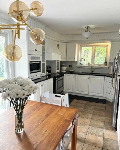 5 1/2 avec 6000pi2 de cour  et spa