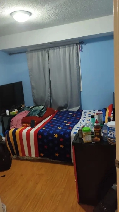 1 Bed 1 Bath Apartment