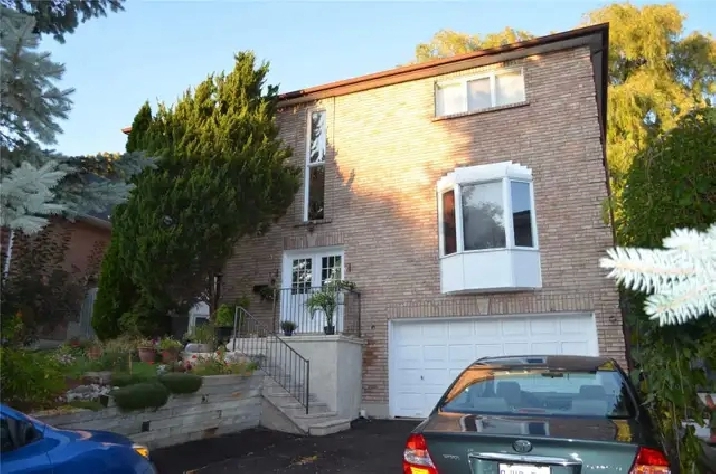 Bright 1 Bedroom Apartment – Ground Level (Not a Basement)