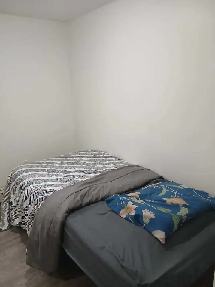 Student Summer Sublet (Furnished)