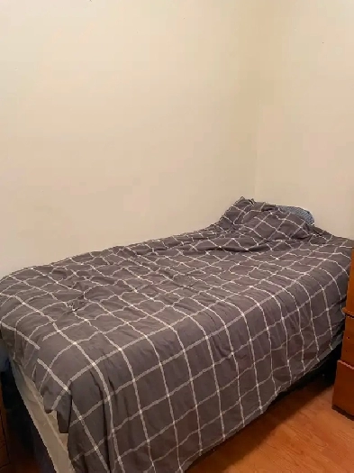 Student room for rent near UofT and TMU
