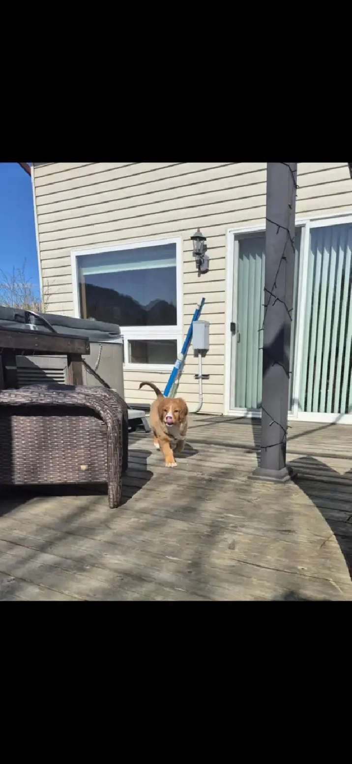 2 bedroom, 1 bath suite in Sicamous.