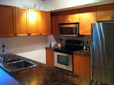 Gay Male to Share 2 Bed/ 2 Bath Condo Next to Wellesley Subway