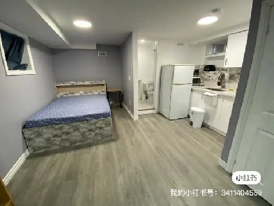 New renovation walk-out basement studio available from June 1st