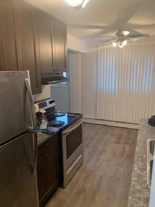 Large 1 BDRM in Old Strathcona! Excellent Location!