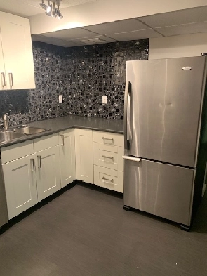 10741 75 AVE, Basement Suite, close to U of A,  LRT & Buses